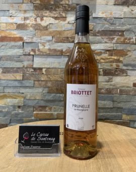 le caveau de santenay Prunelle de Bourgogne 40% - Edmond BRIOTTET
